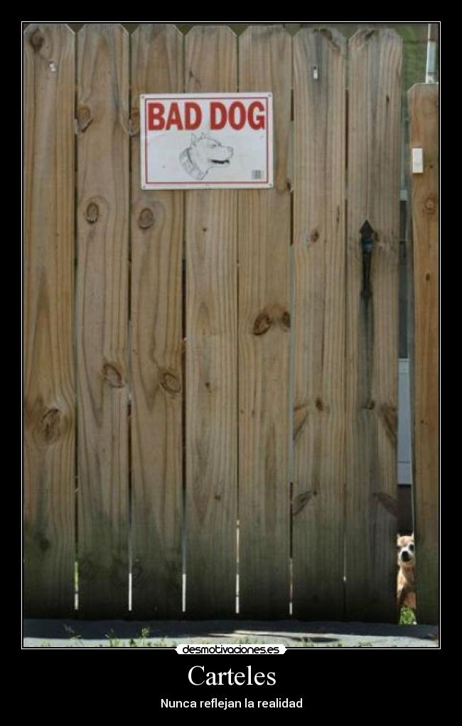 Carteles - Nunca reflejan la realidad