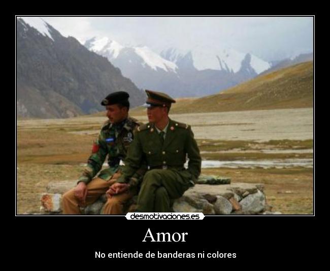 Amor - 
