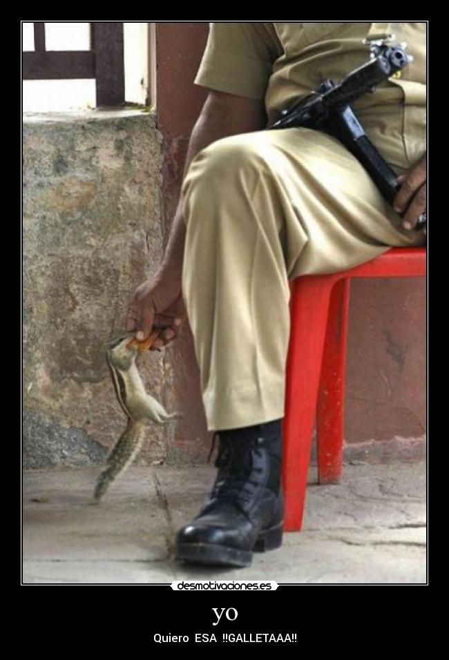 yo - Quiero  ESA  !!GALLETAAA!!