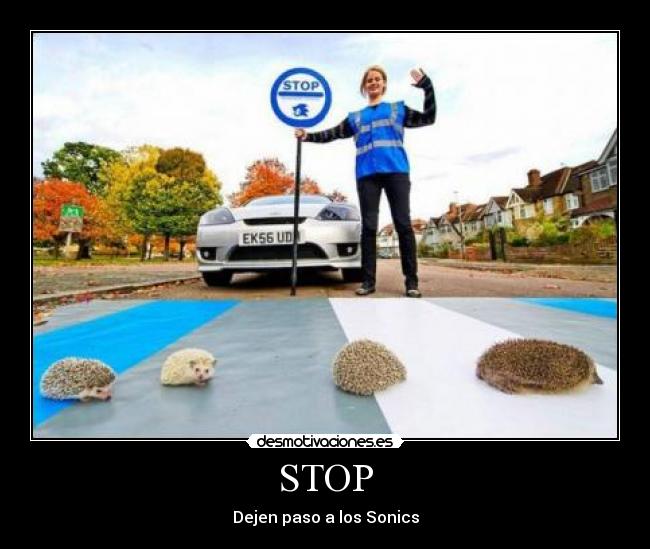 STOP - Dejen paso a los Sonics