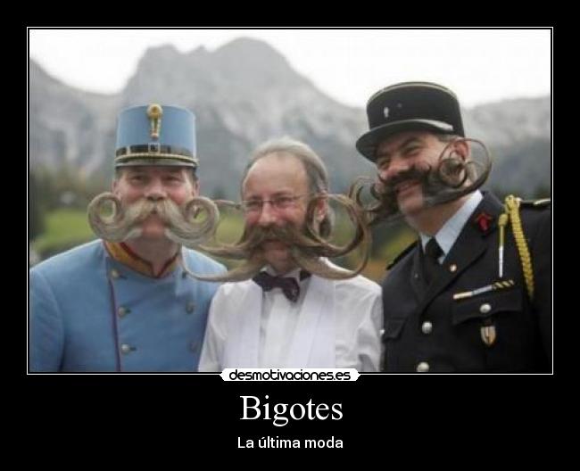 Bigotes - 