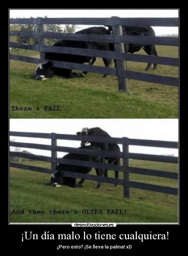 ¡Un día malo lo tiene cualquiera! -