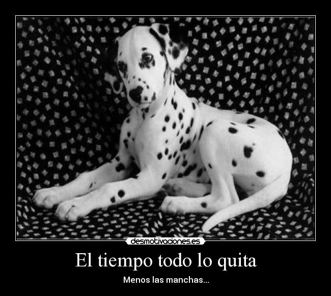 El tiempo todo lo quita - Menos las manchas...