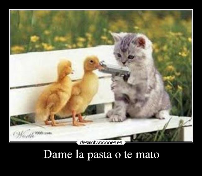 Dame la pasta o te mato -