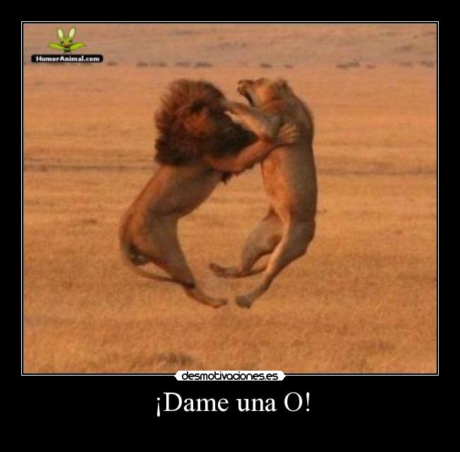 ¡Dame una O! - 