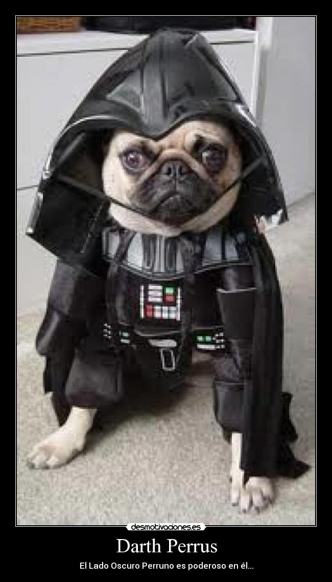 Darth Perrus - 