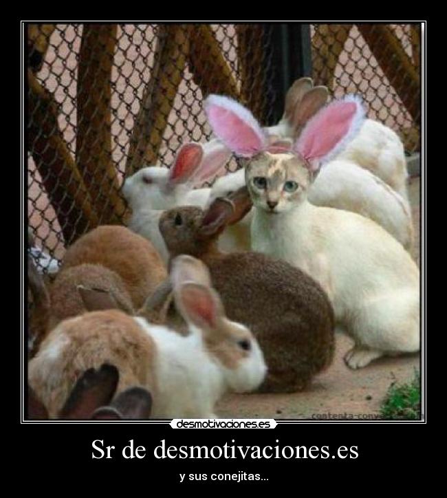 Sr de desmotivaciones.es -