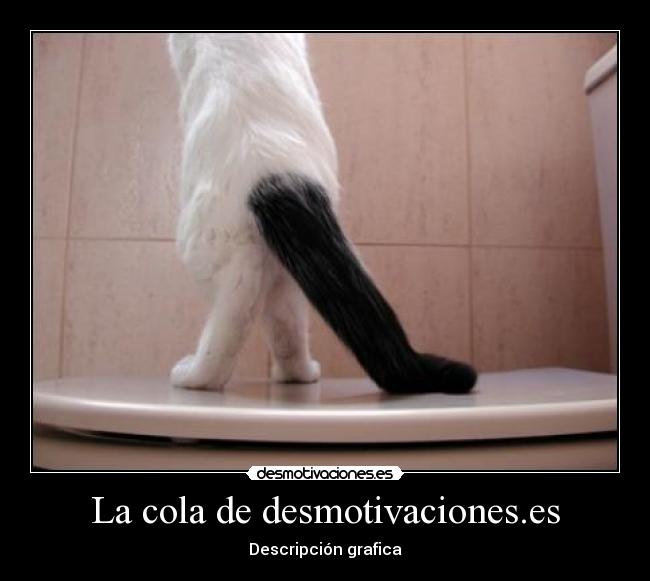 La cola de desmotivaciones.es -