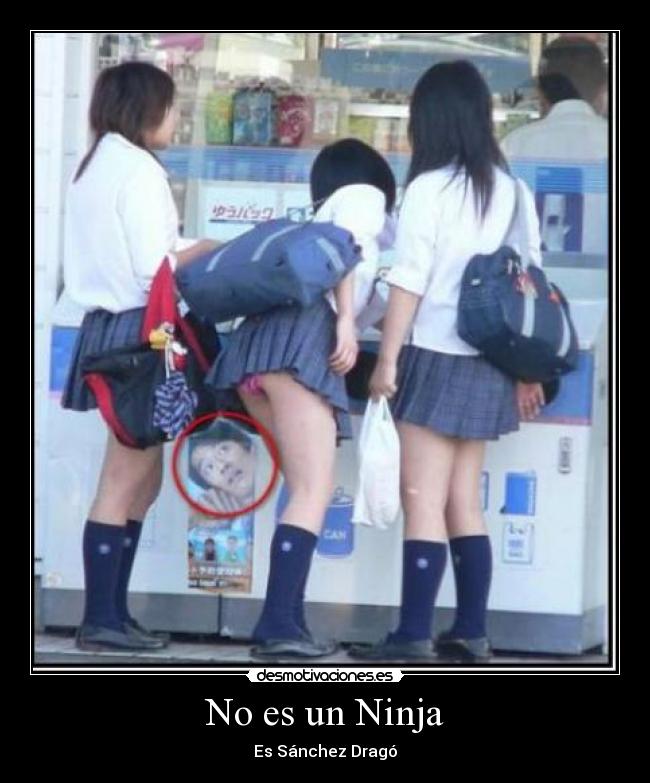 No es un Ninja - Es Sánchez Dragó