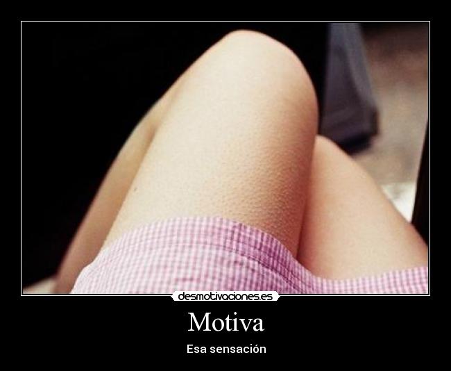 Motiva - 