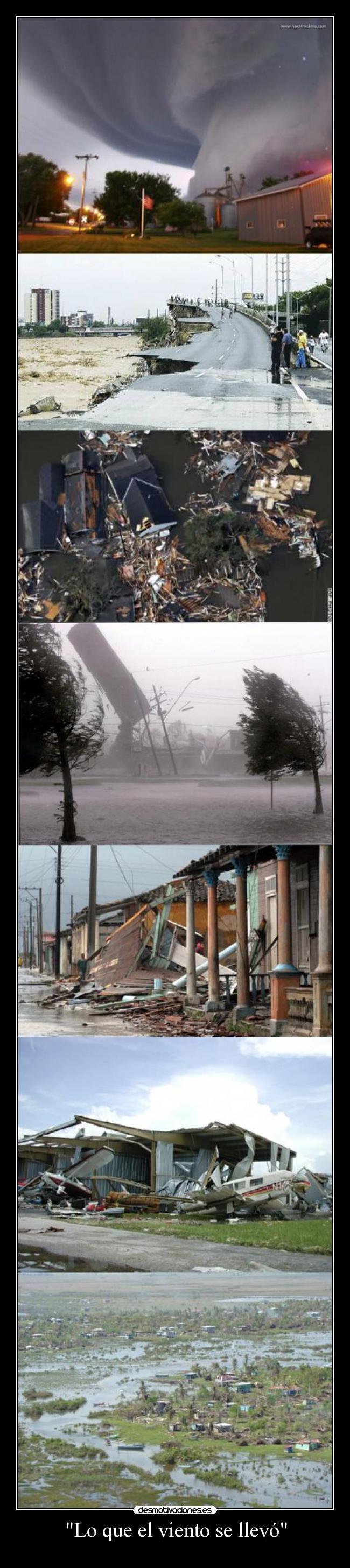 Lo que el viento se llevó -