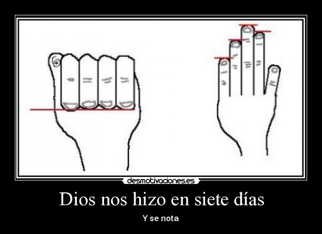 Dios nos hizo en siete días - Y se nota