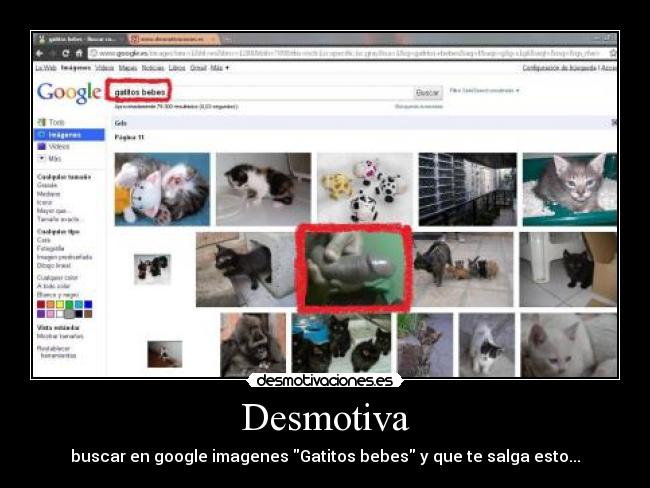 Desmotiva - buscar en google imagenes Gatitos bebes y que te salga esto...