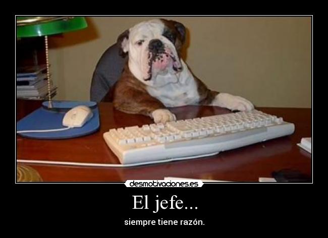 El jefe... - siempre tiene razón.