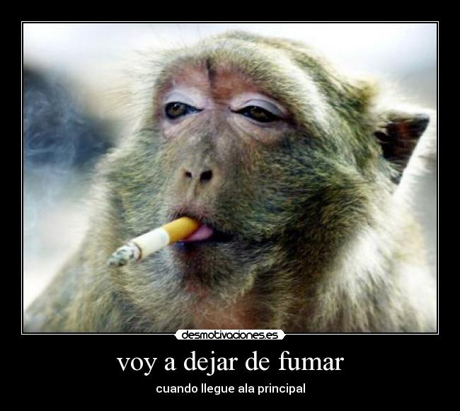 voy a dejar de fumar - cuando llegue ala principal