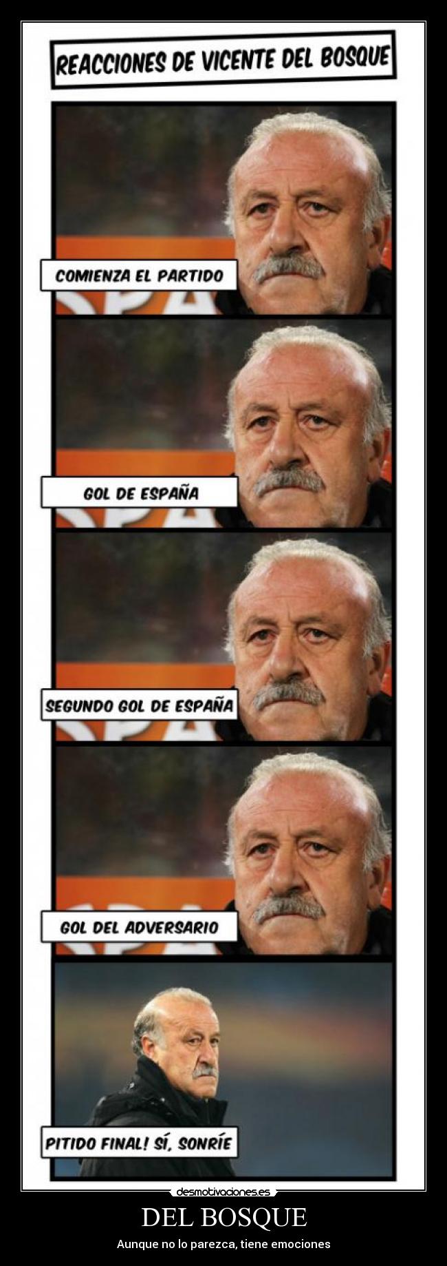 DEL BOSQUE -