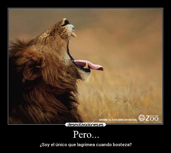 Pero... - ¿Soy el único que lagrimea cuando bosteza?