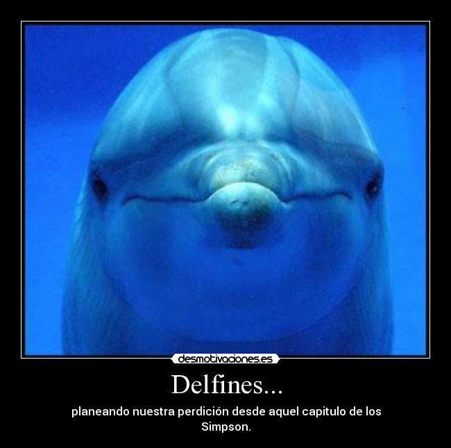 Delfines... -