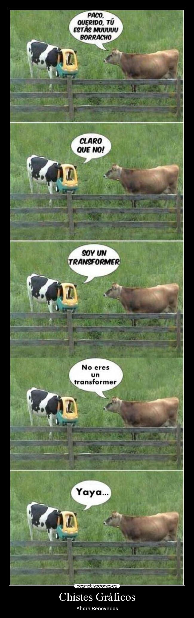 Chistes Gráficos - Ahora Renovados