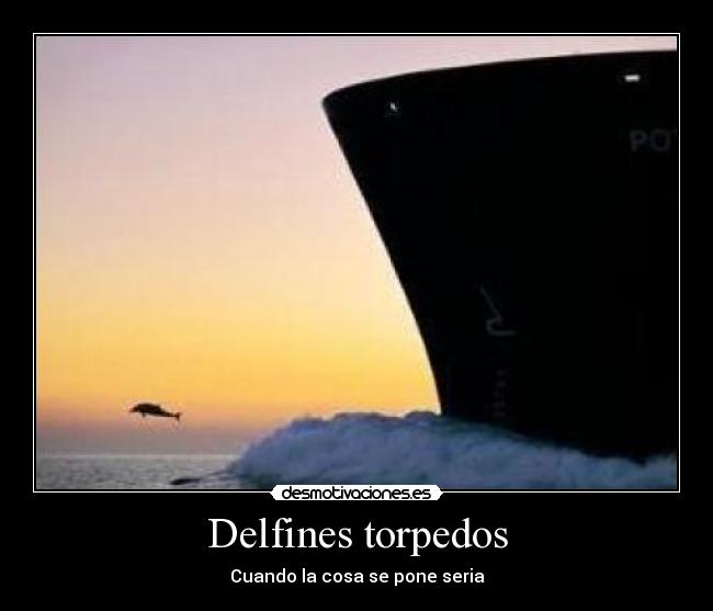 Delfines torpedos - Cuando la cosa se pone seria