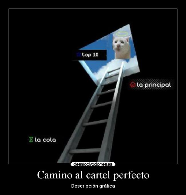Camino al cartel perfecto -