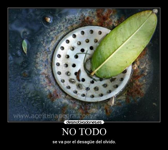 NO TODO - se va por el desagüe del olvido.