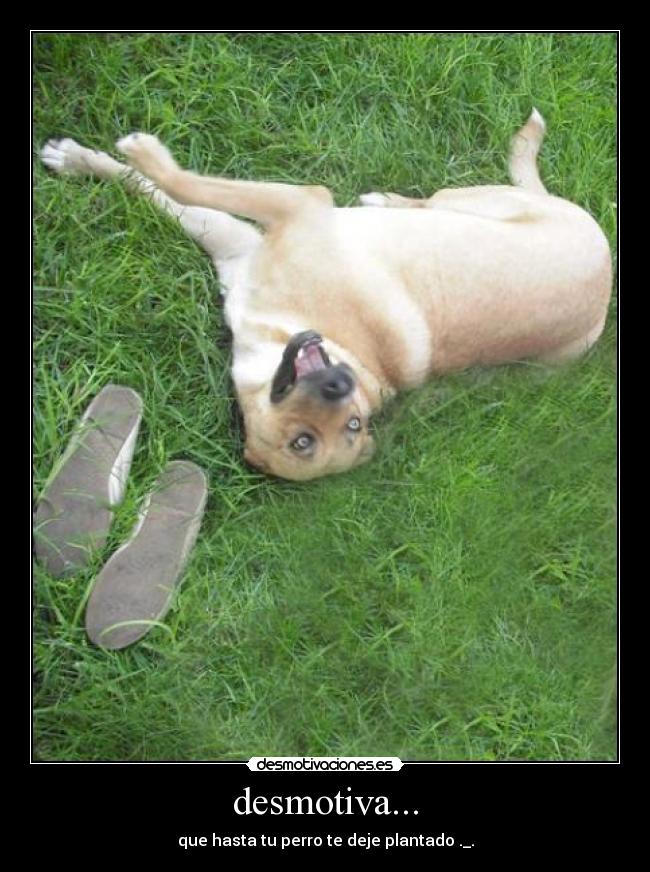 desmotiva... -