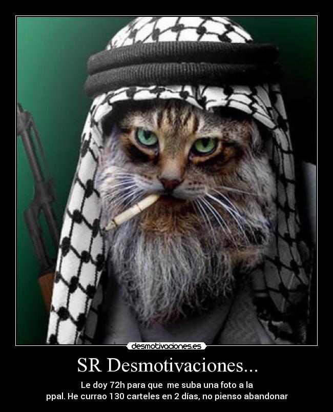 SR Desmotivaciones... -