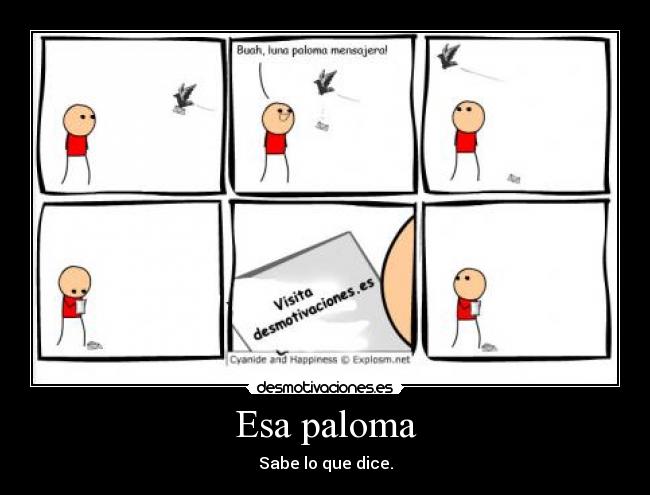 Esa paloma - Sabe lo que dice.