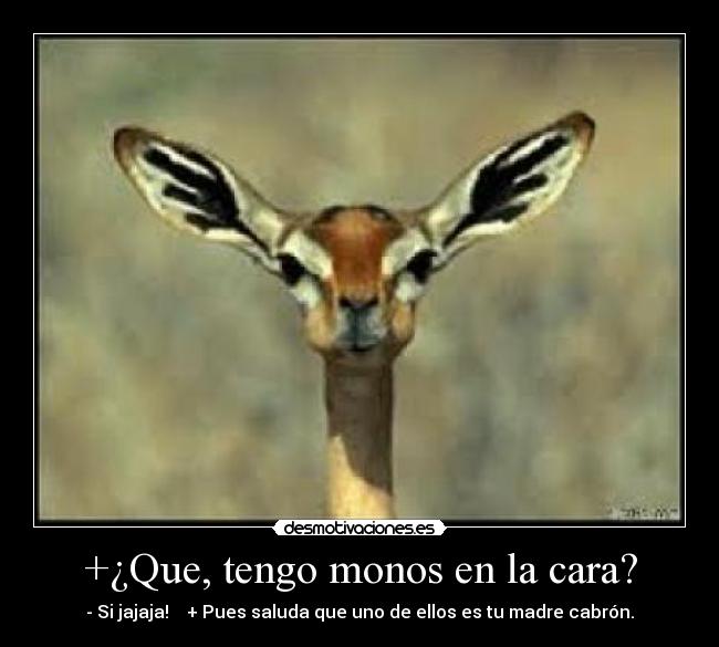 +¿Que, tengo monos en la cara? - - Si jajaja!    + Pues saluda que uno de ellos es tu madre cabrón.