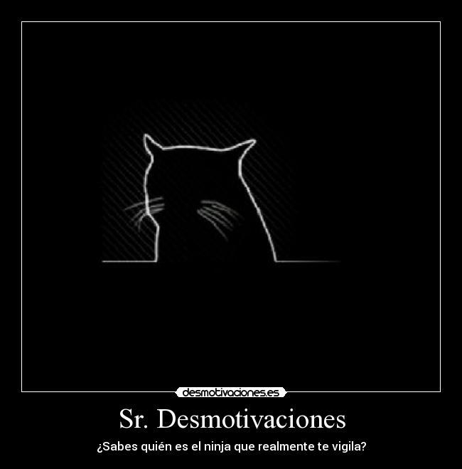Sr. Desmotivaciones -