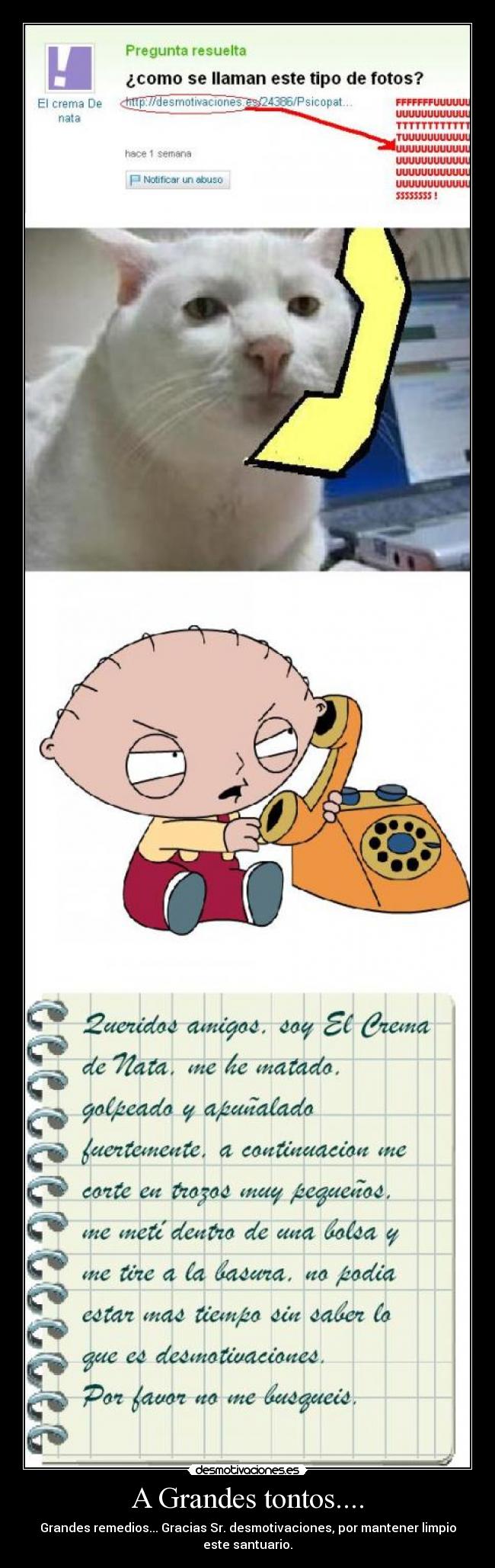 A Grandes tontos.... -