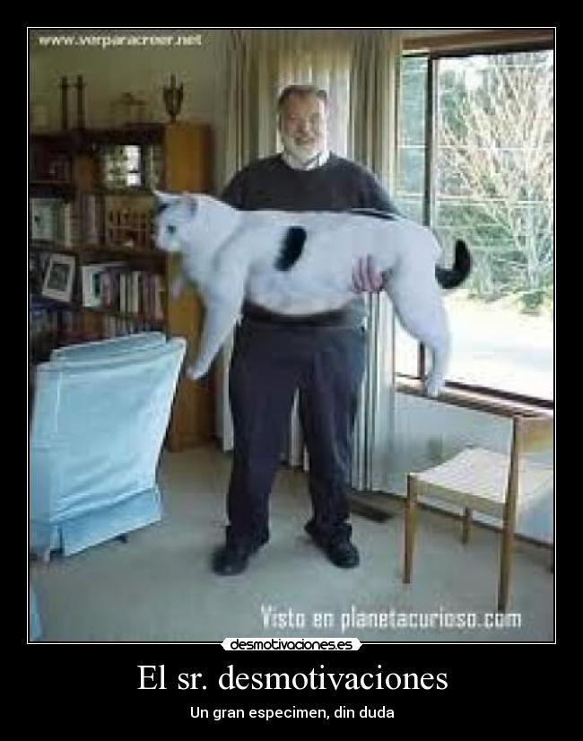 El sr. desmotivaciones - Un gran especimen, din duda