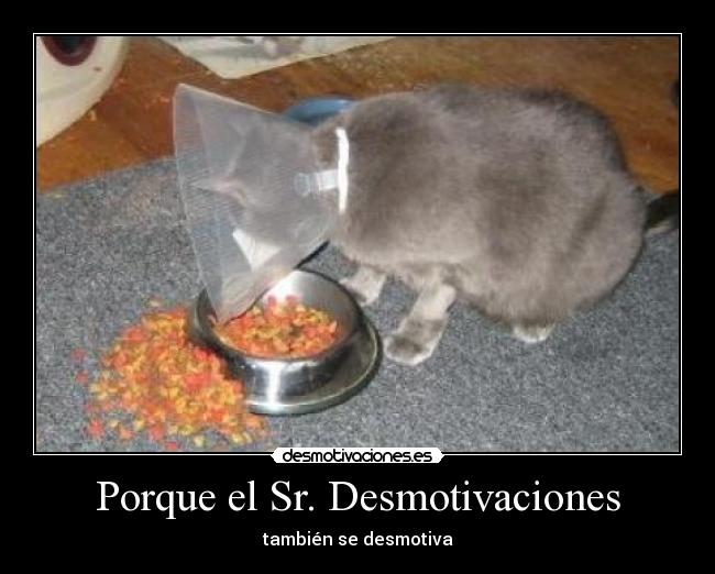 Porque el Sr. Desmotivaciones - también se desmotiva