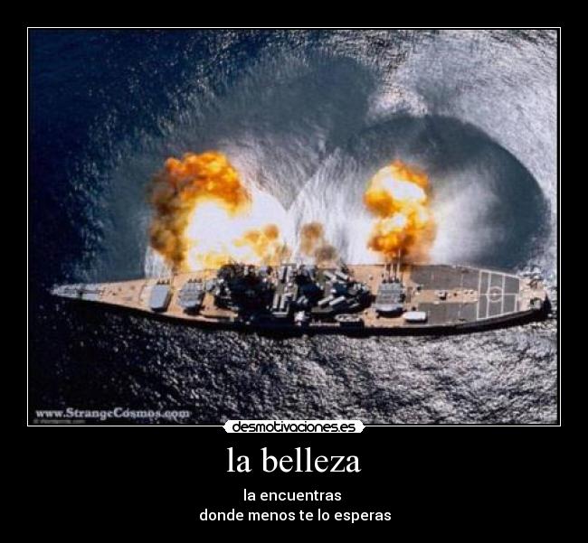 la belleza - la encuentras
donde menos te lo esperas