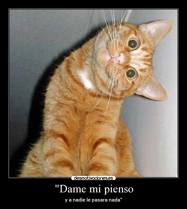Dame mi pienso -