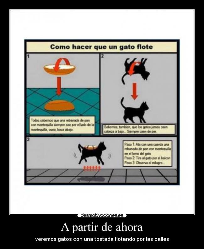 carteles gatos flotantes desmotivaciones