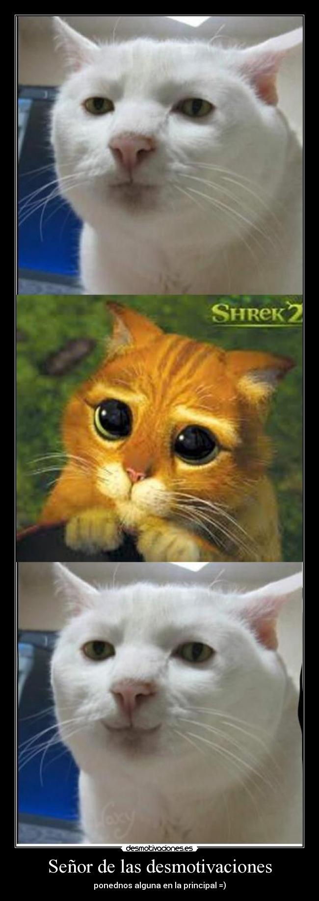 Señor de las desmotivaciones - ponednos alguna en la principal =)