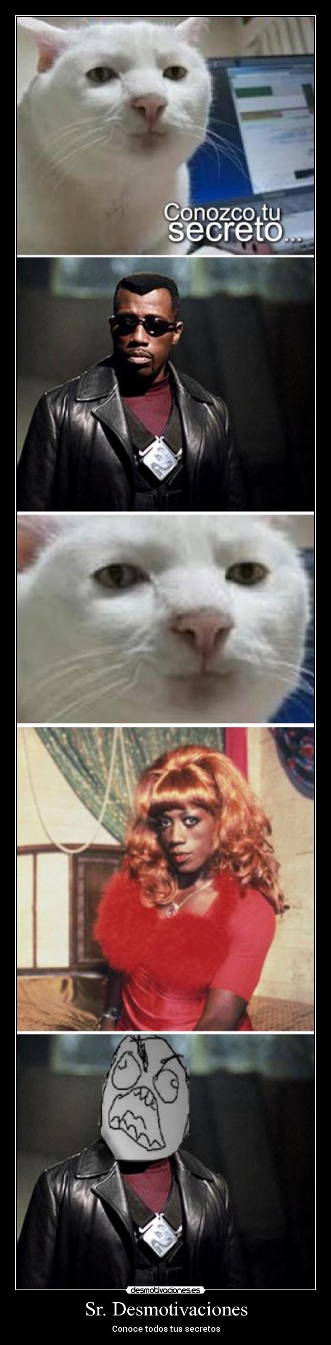 Sr. Desmotivaciones - Conoce todos tus secretos