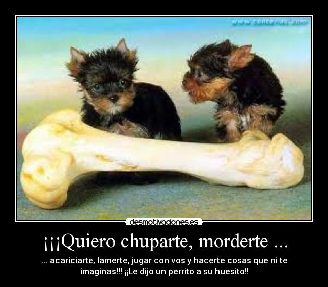 ¡¡¡Quiero chuparte, morderte ... - ... acariciarte, lamerte, jugar con vos y hacerte cosas que ni te
imaginas!!! ¡¡Le dijo un perrito a su huesito!!