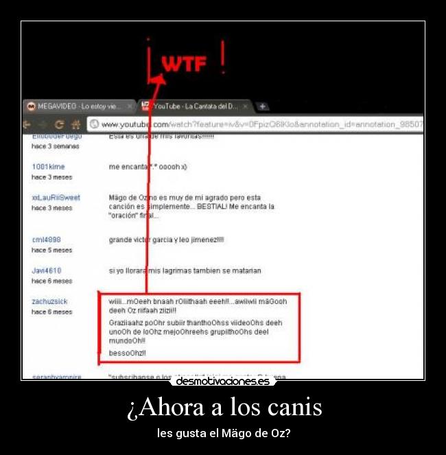 ¿Ahora a los canis -