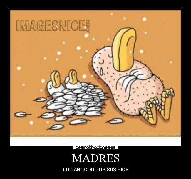 carteles josep desmotivaciones