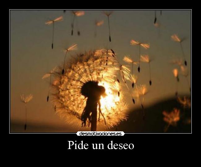 Pide un deseo - 
