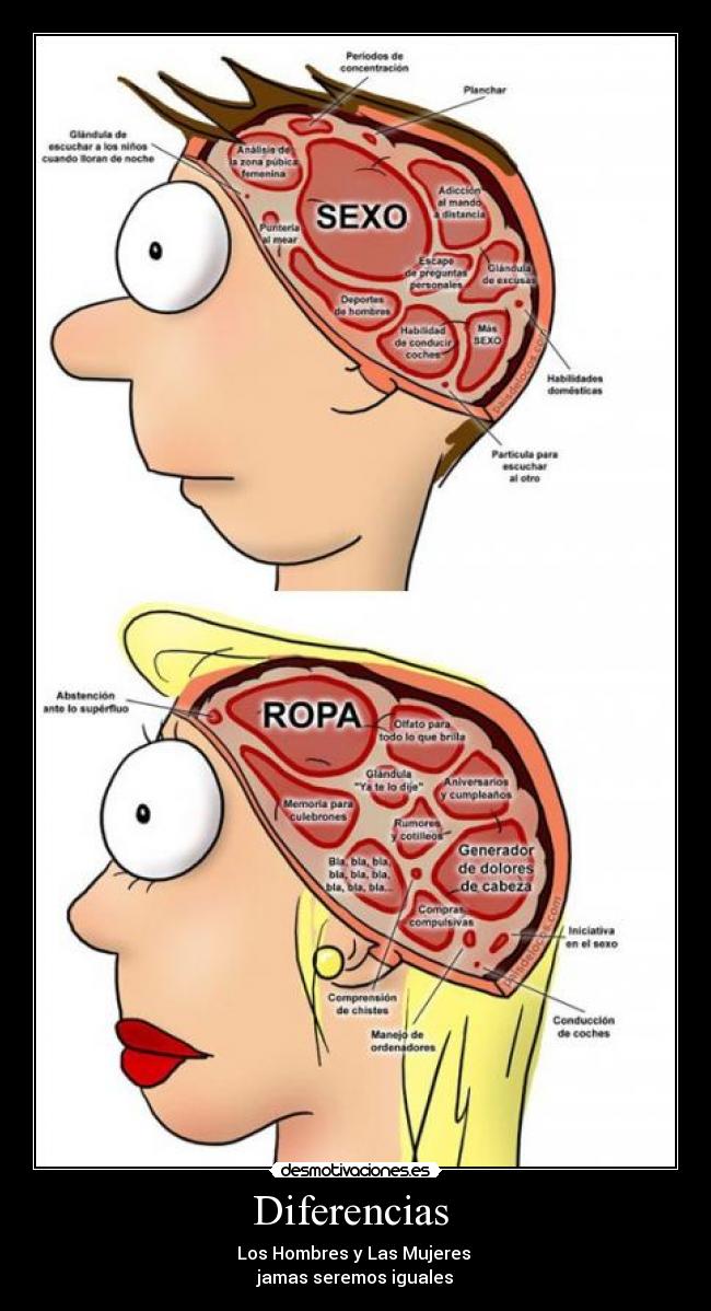 Diferencias - Los Hombres y Las Mujeres
jamas seremos iguales