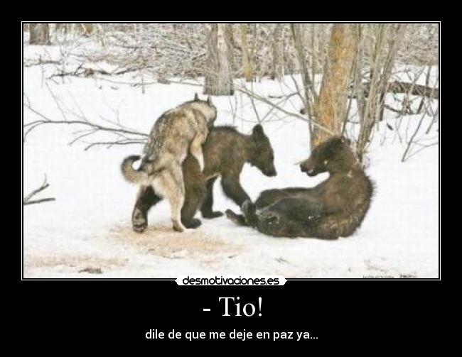 - Tio! - dile de que me deje en paz ya...