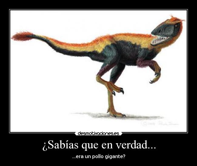 carteles tiyranosaurus rex desmotivaciones