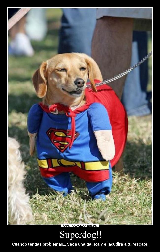 Superdog!! - Cuando tengas problemas... Saca una galleta y el acudirá a tu rescate.
