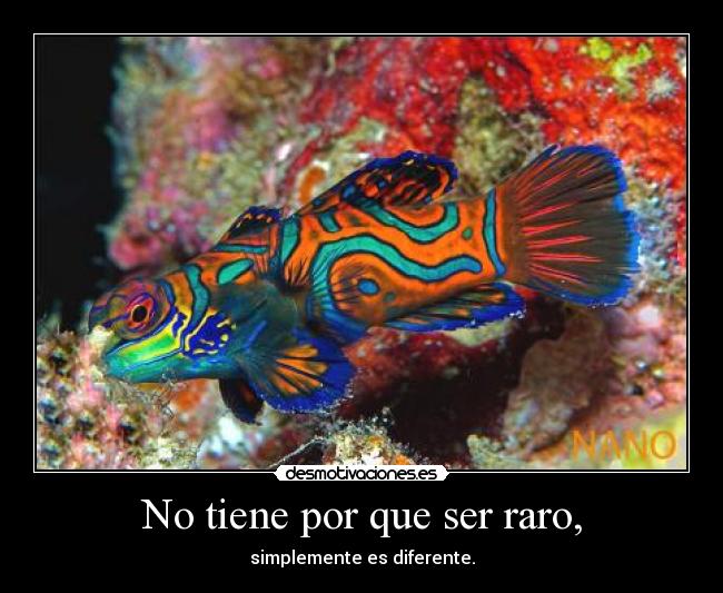 No tiene por que ser raro, -