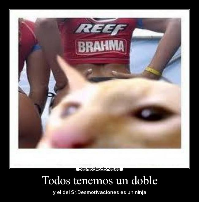 Todos tenemos un doble - y el del Sr.Desmotivaciones es un ninja