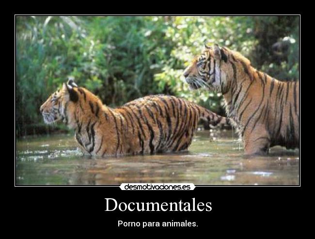 Documentales - Porno para animales.